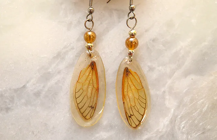 Cicada Earrings