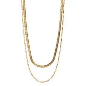 Double Snake Chains Necklace